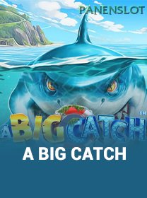 A Big Catch game cover